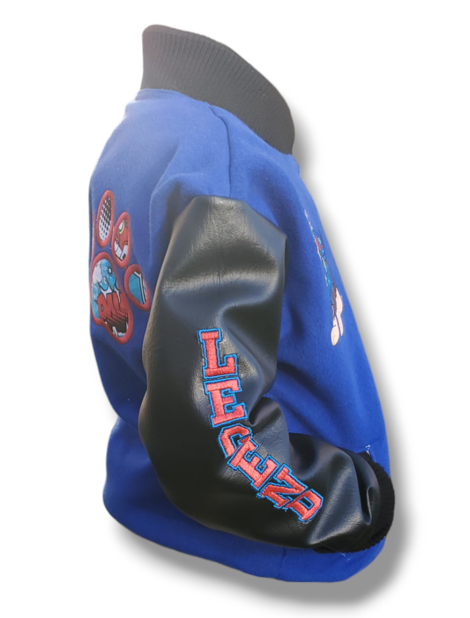 Custom Paw Patrol Varsity Jacket